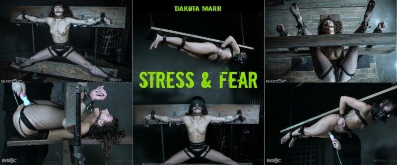 InfernalRestraints presents Dakota Marr - Stress & Fear [2022 | HD]