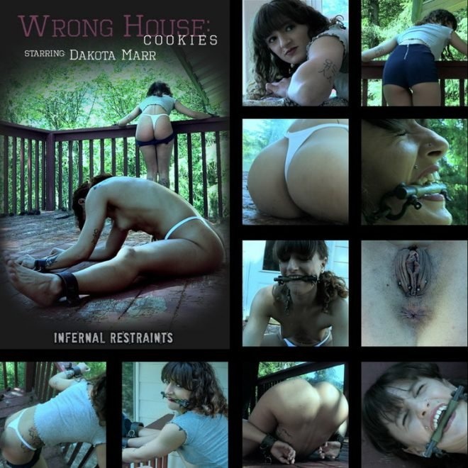 Dakota Marr - Wrong House: Cookies, Dakota tries to sell cookies to the wrong man and pays dearly for it. [2019 | 850x478]