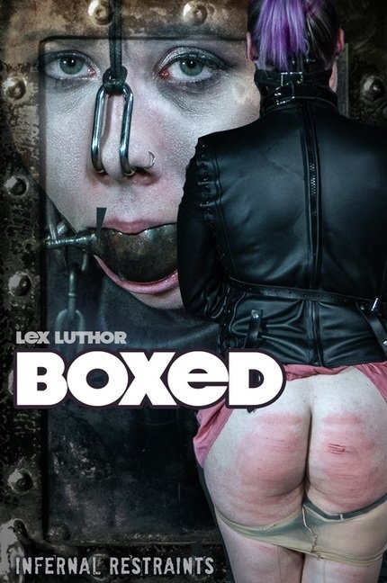 Lex Luthor - Boxed [2022 | HD]