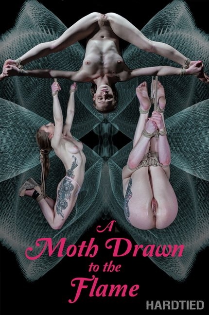 A Moth Drawn To The Flame [2022 | HD]