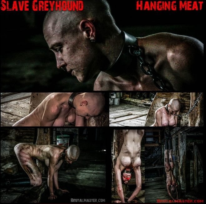 Brutal Master Hanging Meat: Slave Greyhound [2019 | 1920x1080]