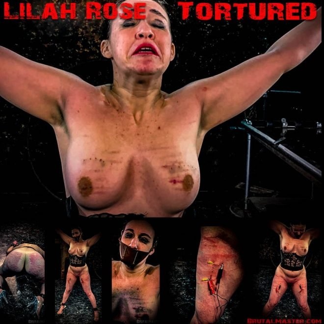 Tortured [2019 | 1920x1080]