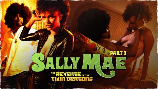 Alina Ali - Sally Mae: The Revenge of the Twin Dragons: Part 3 [2022 | FullHD]